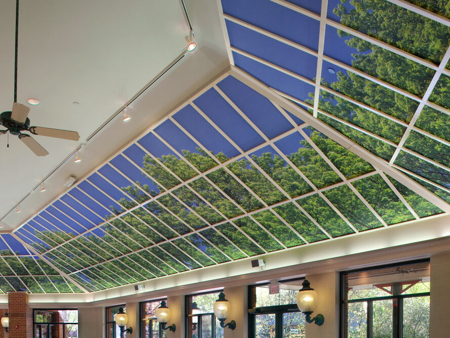 zoo, cafe