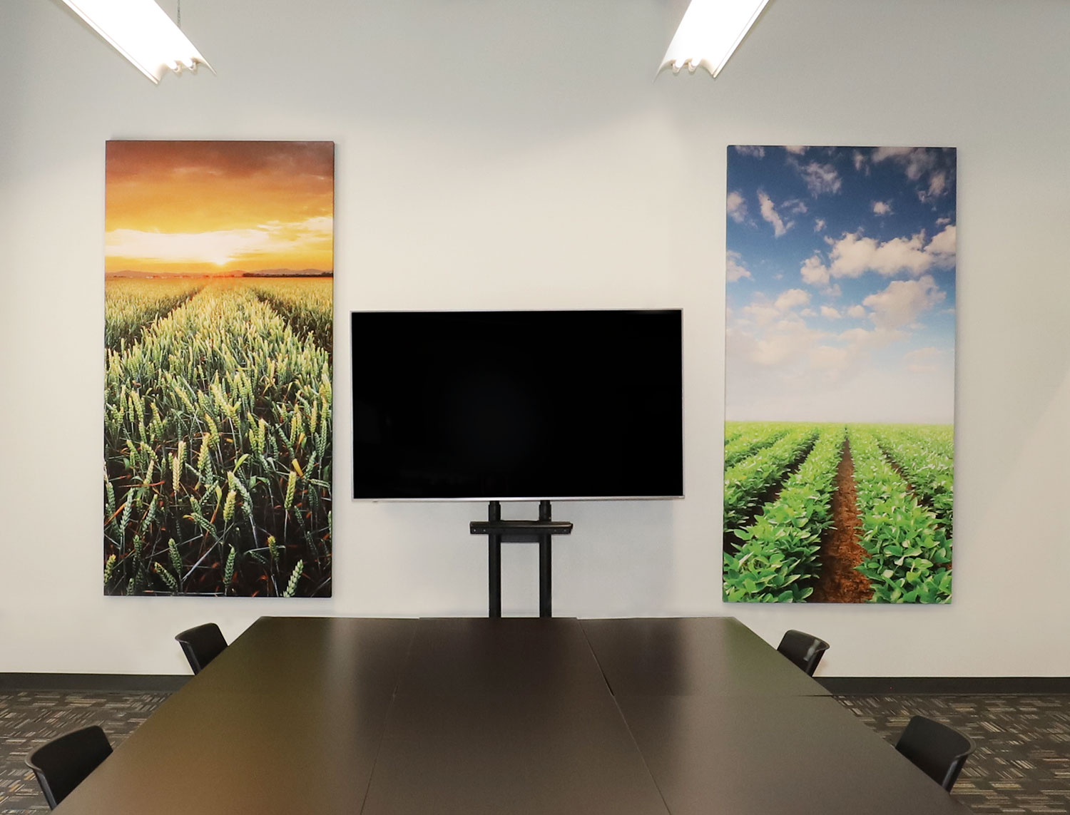 ElementalE-straight-on