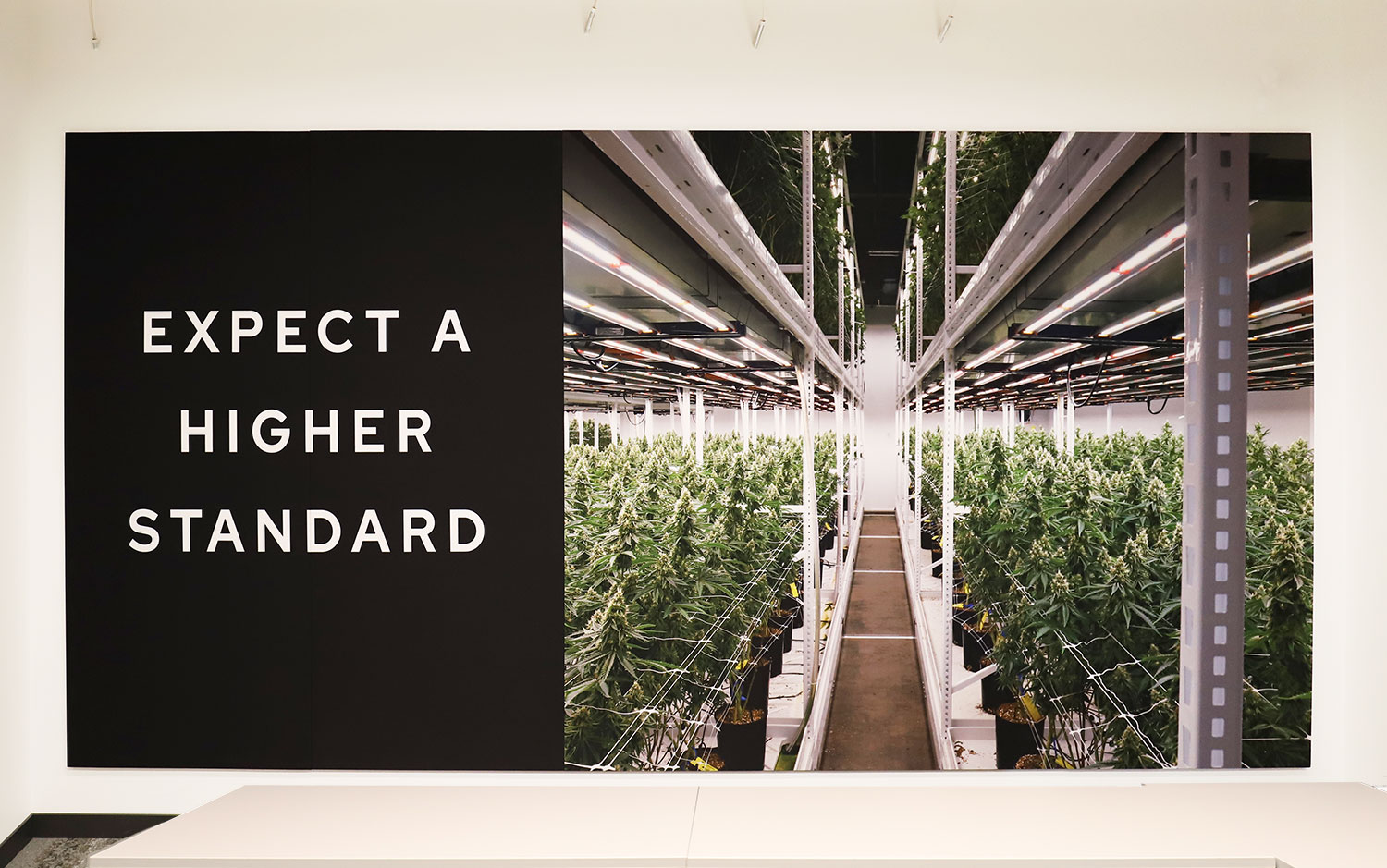 NewGrowthHorz-AI-straight